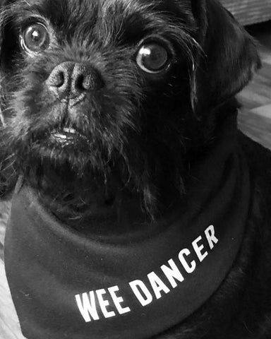 'WEE DANCER' Scottish Dog Bandana (Copy)