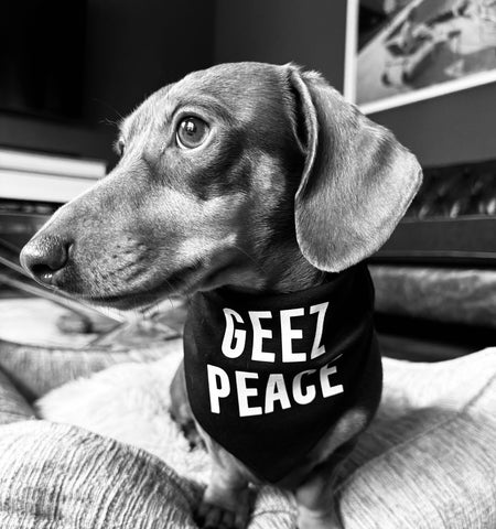 'GEEZ PEACE' Dog Bandana